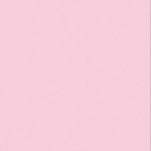 Meet your Posher, Bryanna